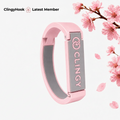 Cherry Blossom