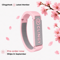 Cherry Blossom